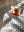 Checkered white and blue blanket on a bed with a rocking horse toy on top